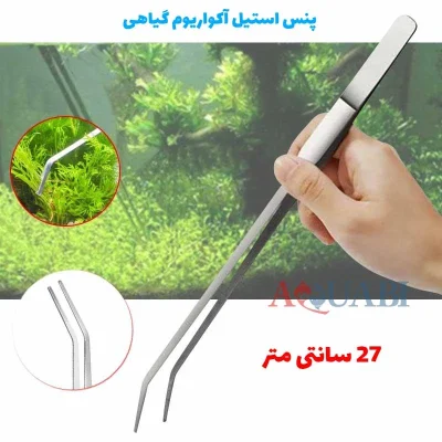 پنس آکواریوم سر خم