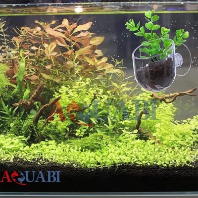 گلدان شیشه ای آکواریوم گرینر