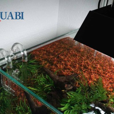 ست ورودی خروجی شیشه ای فیلتر 16 میلی متری گرینر