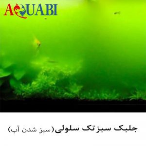 جلبک سبز تک سلولی 