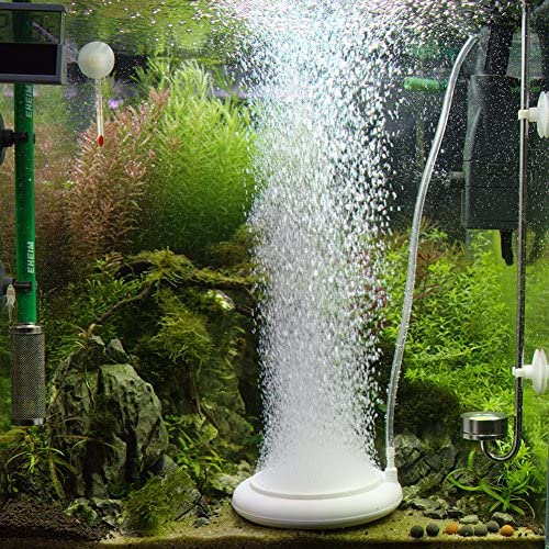 راهنمای خرید آکواریوم آب شیرین 250 تا 400 لیتری
