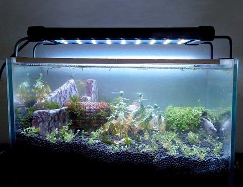 led آکواریوم