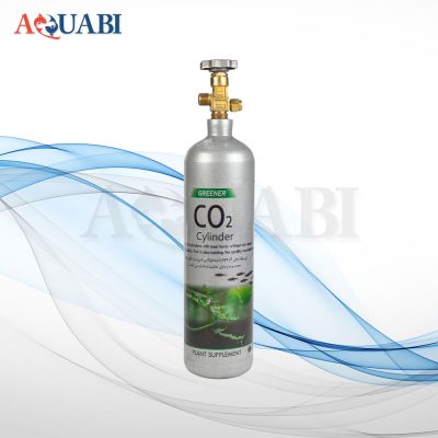 کپسول co2