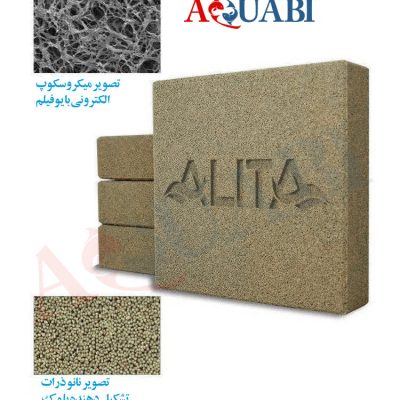 بلوک فوق متخلل آلیتا