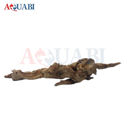 تنه چوب آبنوس آکواریوم AB-104
