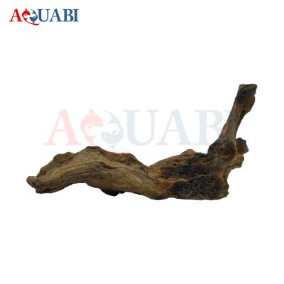 تنه چوب آبنوس AB-69