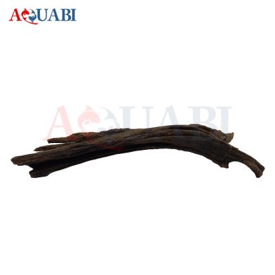 تنه چوب آبنوس AB-70