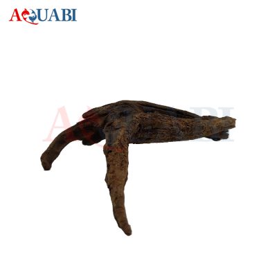 تنه چوب آبنوس AB-70