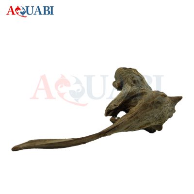 تنه چوب آبنوس AB-71