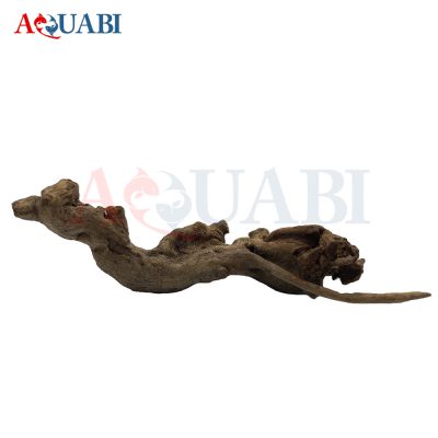 تنه چوب آبنوس AB-74