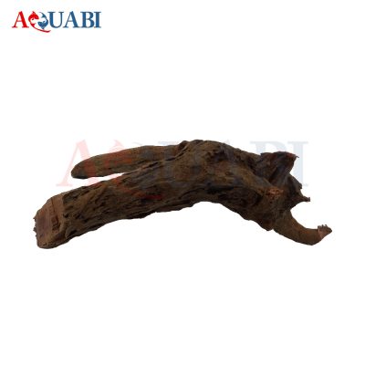 تنه چوب آبنوس AB-77