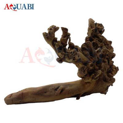 تنه چوب آبنوس AB-79