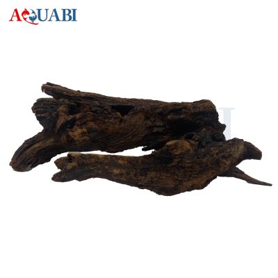 تنه چوب آبنوس AB-91