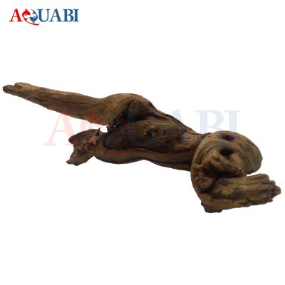 تنه چوب آبنوس AB-93