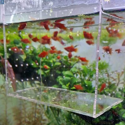 فیش باکس آکواریوم حرفه ای (بزرگ)