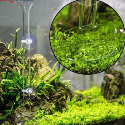 فیش دیش شیشه ای آکواریوم
