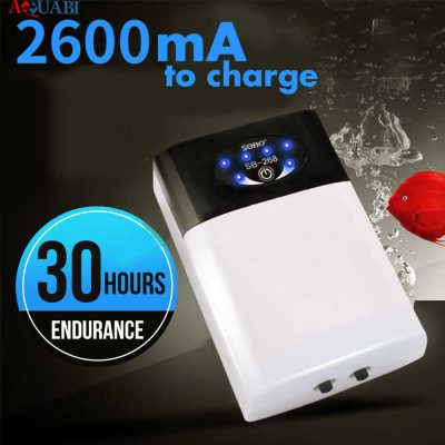 پمپ هوا شارژی 2 خروجی سوبو SB-268
