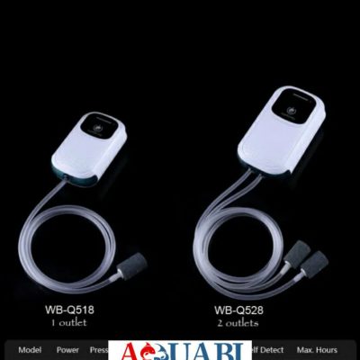 پمپ هوا شارژی دو خروجی WB-Q528 واتر بر