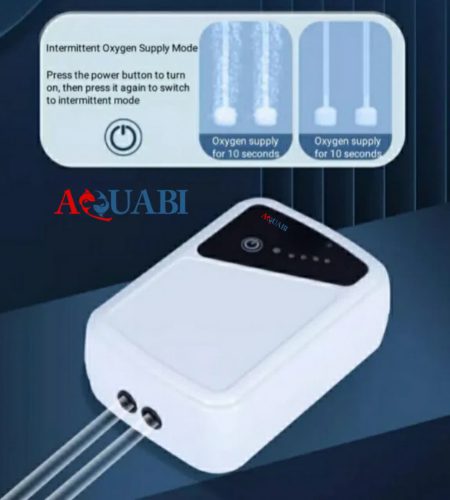 پمپ هوا شارژی 2 خروجی AQ-2020 سوبو
