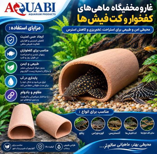 سفال غار کت فیش متوسط
