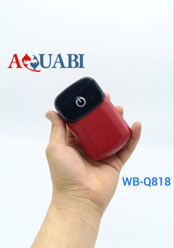 پمپ هوا شارژی تک خروجی WB-Q818