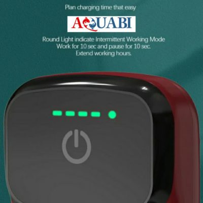 پمپ هوا شارژی تک خروجی WB-Q818