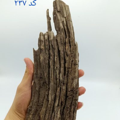 تنه چوب آبنوس آکواریوم AB-237
