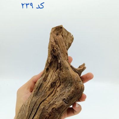تنه چوب آبنوس آکواریوم AB-239