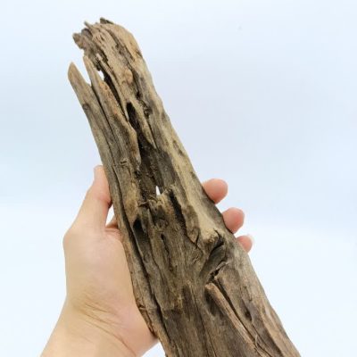 تنه چوب آبنوس آکواریوم AB-240