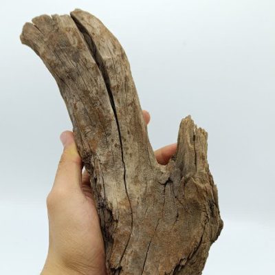 تنه چوب آبنوس آکواریوم AB-241