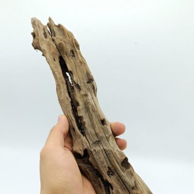 تنه چوب آبنوس آکواریوم AB-242