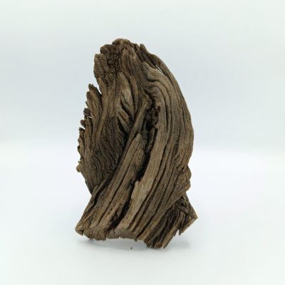 تنه چوب آبنوس آکواریوم AB-243 دریفت وود