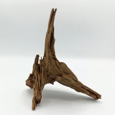 تنه چوب آبنوس آکواریوم AB-244 دریفت وود