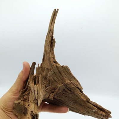 تنه چوب آبنوس آکواریوم AB-244