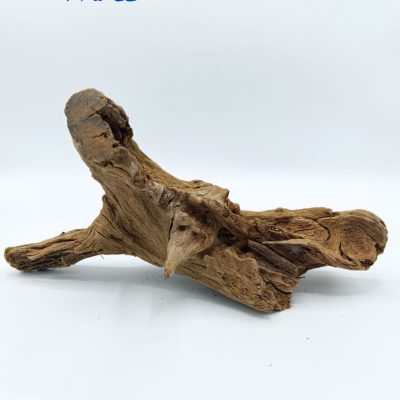 تنه چوب آبنوس آکواریوم AB-245 دریفت وود