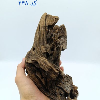 تنه چوب آبنوس آکواریوم AB-248