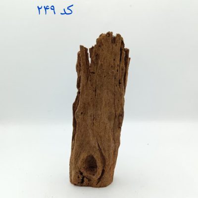 تنه چوب آبنوس آکواریوم ADA Drift Wood AB-249