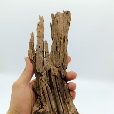 تنه چوب آبنوس آکواریوم AB-250