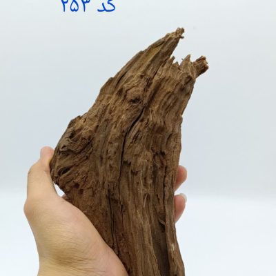 تنه چوب آبنوس آکواریوم AB-253 دریفت وود