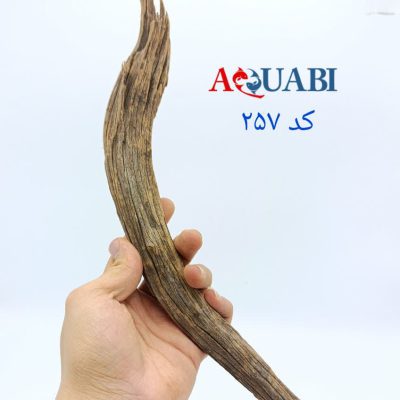 تنه چوب آبنوس آکواریوم AB-257 دریفت وود