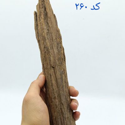تنه چوب آبنوس آکواریوم AB-260 دریفت وود