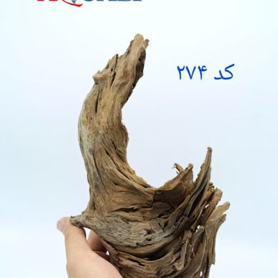 تنه چوب آبنوس آکواریوم AB-274 دریفت وود