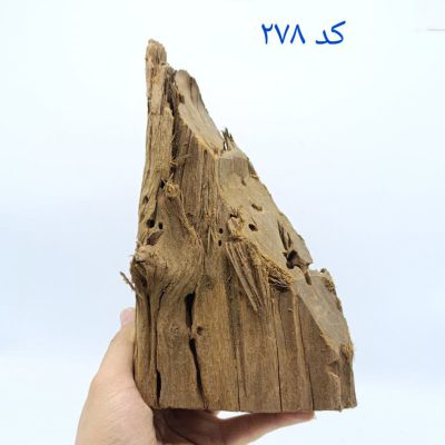 تنه چوب آبنوس آکواریوم AB-278 دریفت وود