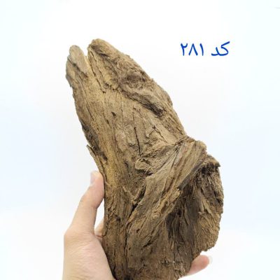 تنه چوب آبنوس آکواریوم AB-281 دریفت وود