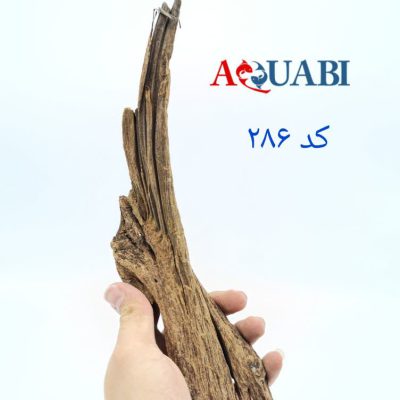 تنه چوب آبنوس آکواریوم AB-286 دریفت وود