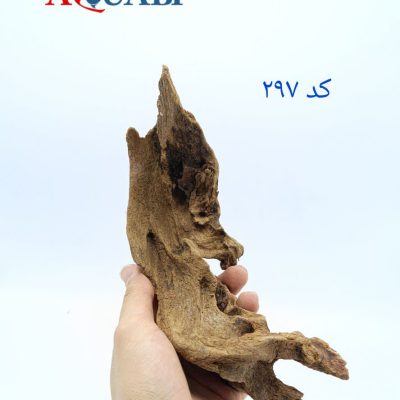 تنه چوب آبنوس آکواریوم AB-297 دریفت وود