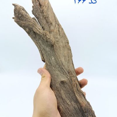 تنه چوب آبنوس آکواریوم AB-266 دریفت وود