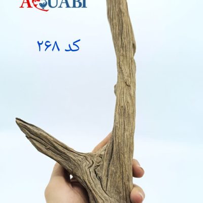 تنه چوب آبنوس آکواریوم AB-268 دریفت وود