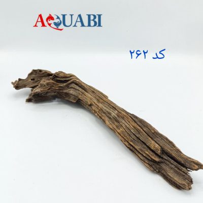 تنه چوب آبنوس آکواریوم AB-262 دریفت وود
