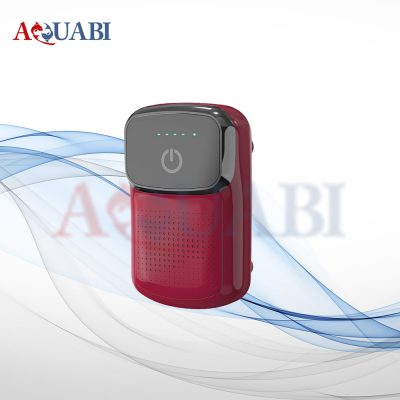 پمپ هوا شارژی تک خروجی WB-Q818